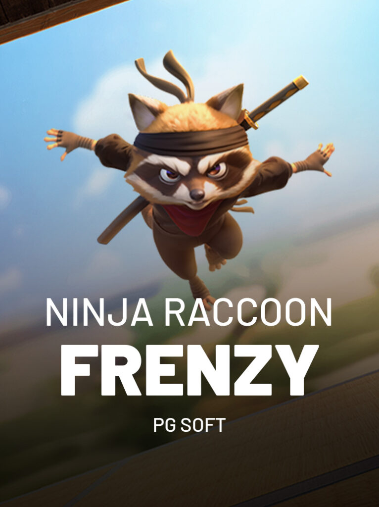 Ninja Raccoon