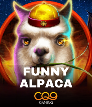 Funny Alpaca