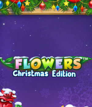 Flowers Christmas Edition