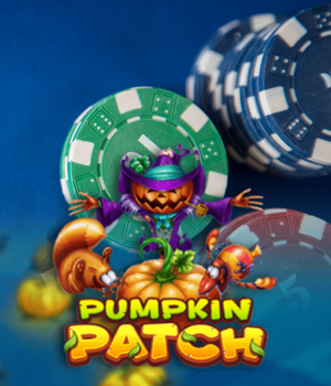 Pumpkin Patch