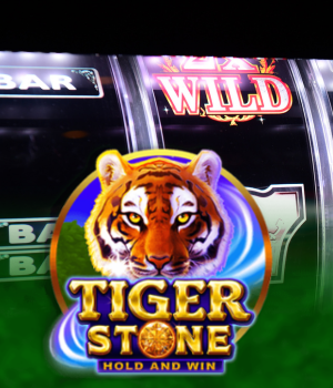 Tiger Stone